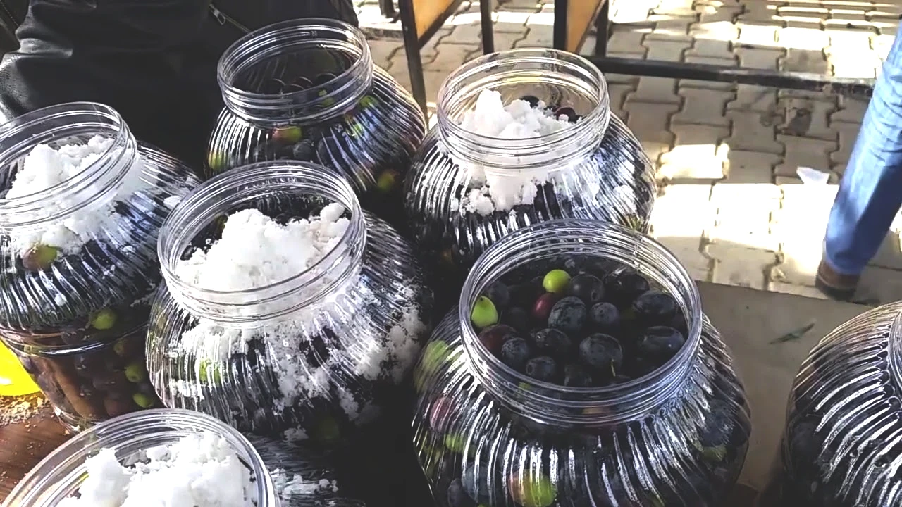 Siyah zeytin salamurası nasıl yapılır! En doğal yolu - YouTube